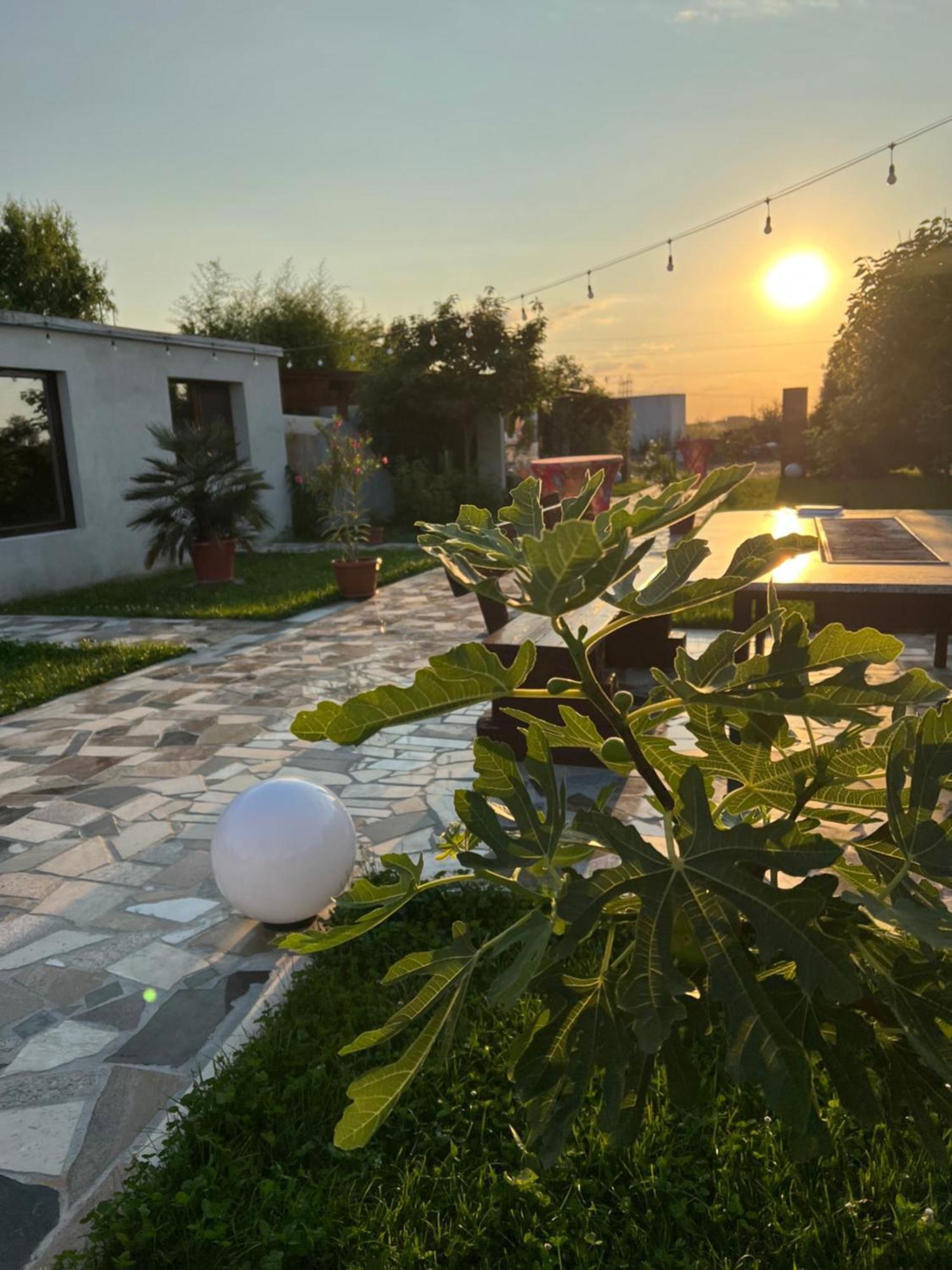 Ferienwohnung La Casa Blanca Vladimirescu Exterior foto